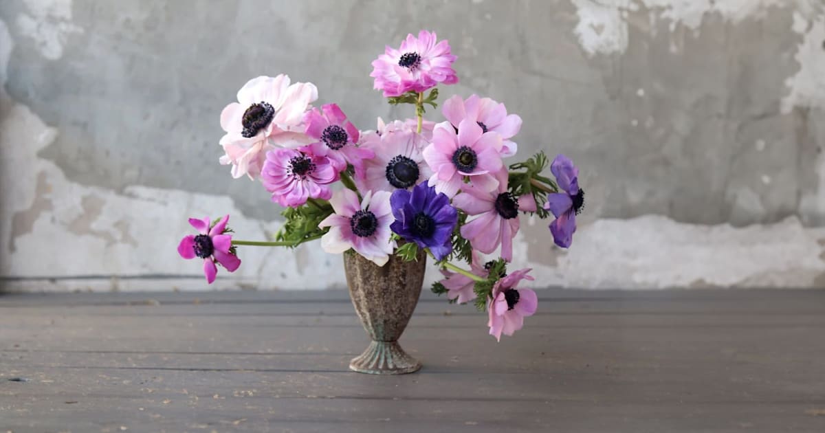 Dawn Blossom Florist in Surry Hills Order from Menulog