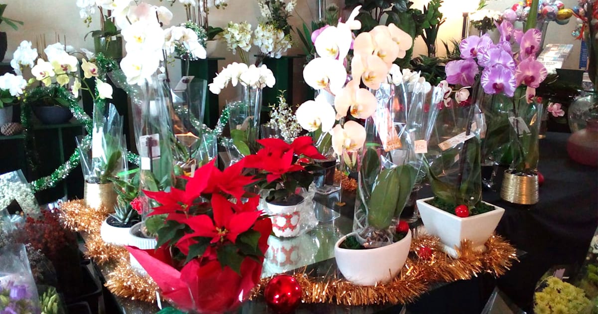 Northcote Flowers in Northcote Order from Menulog