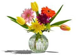 Flowers