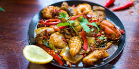Dumpling Land - Kotara
