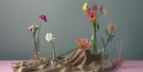 Floriade - Rose Bay