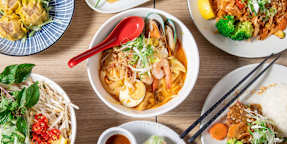 Mission Vietnamese